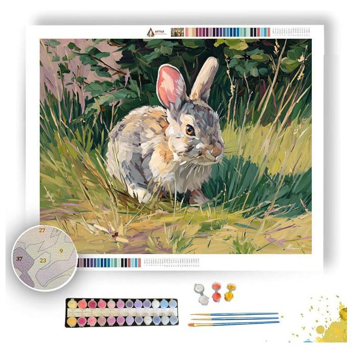 COTTAGE WATERLINE SHADOW - Paint by Numbers Full Kit