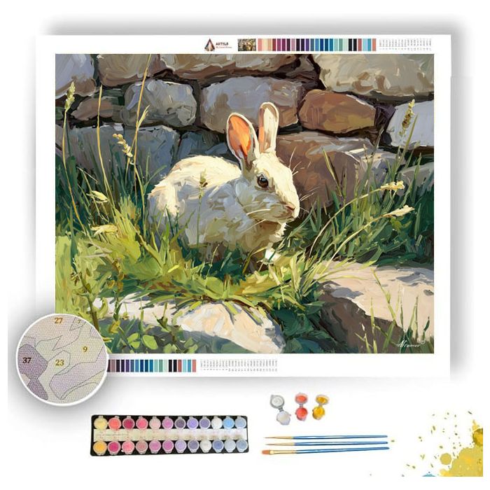 STONE STUDY - Paint by Numbers Full Kit