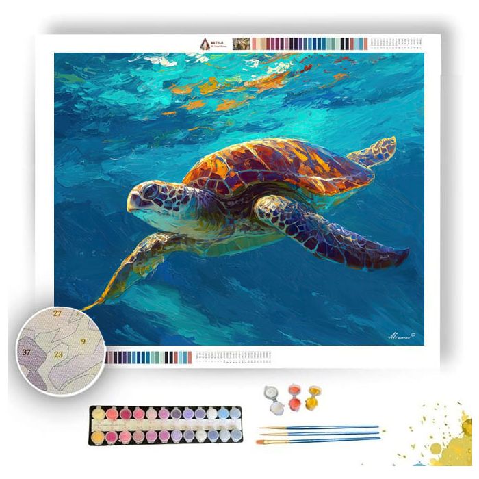 SHADOW CLEAR STUDY - Paint by Numbers Full Kit