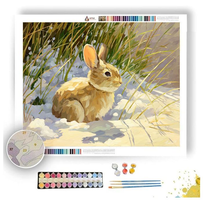 SAND SOFT - Paint by Numbers Full Kit