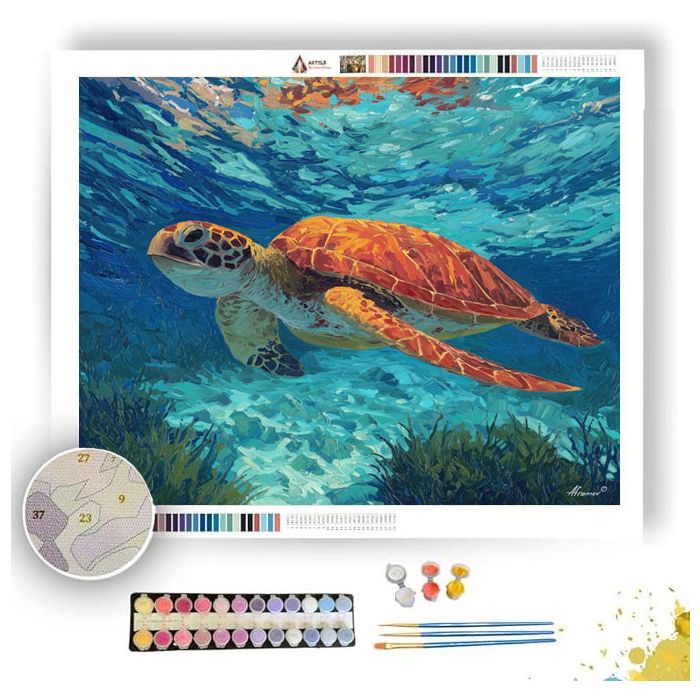 CLEAR PASSAGE - Paint by Numbers Full Kit
