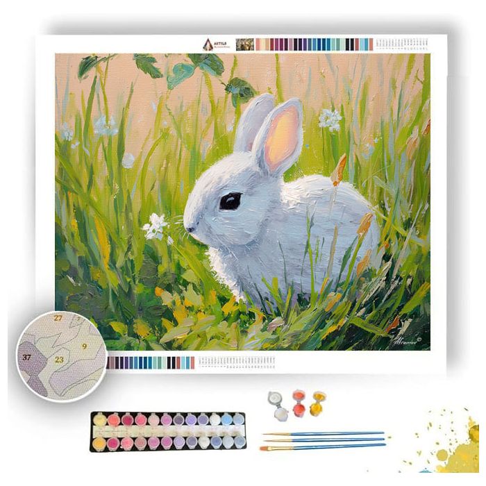 CLOUD SPRING - Paint by Numbers Full Kit
