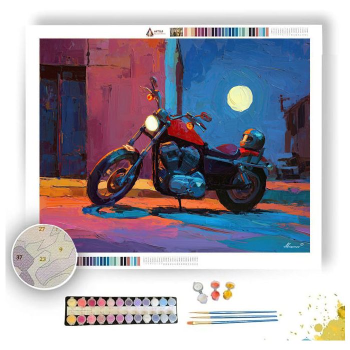 NEARBY VIEW MOONLIT - Paint by Numbers Full Kit