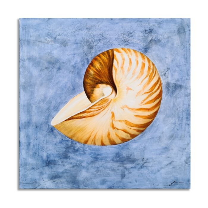 Deco Seashell Splendor