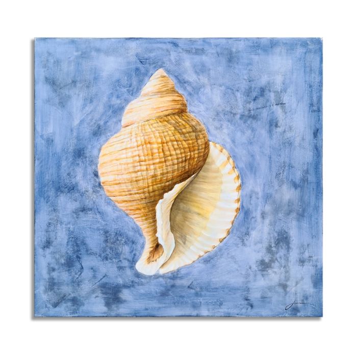 Deco Seashell Harmony