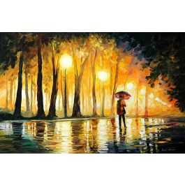 bewitched park afremov