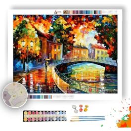 OLD BRIDGE - Paint by Numbers Full Kit