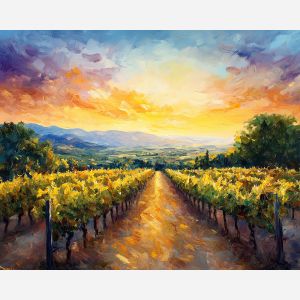 NAPA VINEYARD SUNSET