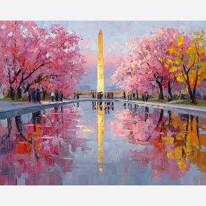 WASHINGTON D.C. REFLECT