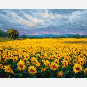 YELLOW SUNFLOWER FIELD