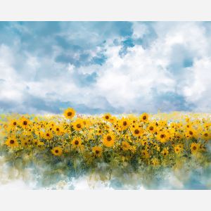 WILD SUNFLOWER FIELD