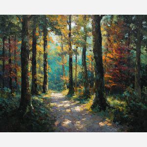 FOREST PATH SUNLIGHT