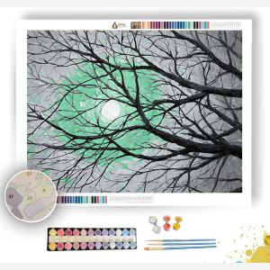 CELADON CRESCENT - Paint by Numbers Full Kit