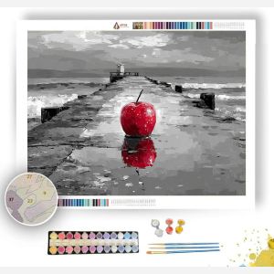 RUBY REFLECTION BW - Paint by Numbers Full Kit