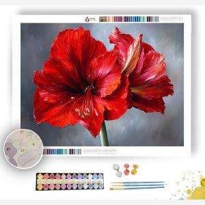 AMARYLLIS GLOW - Paint by Numbers Full Kit