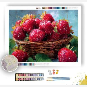 BERRY BLISS - Paint by Numbers Full Kit