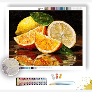 CITRUS SPLASH - Paint by Numbers Full Kit