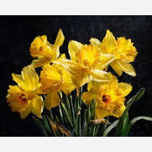 DAFFODIL DELIGHT