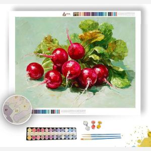 RADISH RUSH - Paint by Numbers Full Kit