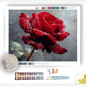ROSE AND DEW - Paint by Numbers Full Kit