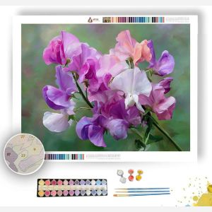SWEET PEA PERFUME - Paint by Numbers Full Kit