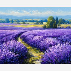 FIELDS OF LAVENDER