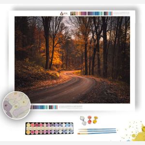 LATE AUTUMN ROAD - Paint by Numbers Full Kit