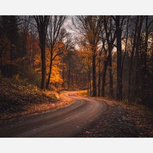 LATE AUTUMN ROAD