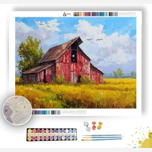 OLD BARN - Paint by Numbers Full Kit
