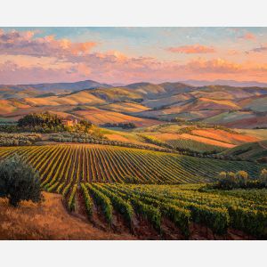 TUSCAN VINEYARD