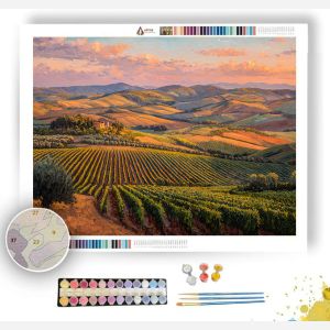TUSCAN VINEYARD - Paint by Numbers Full Kit