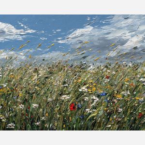 WINDY MEADOW