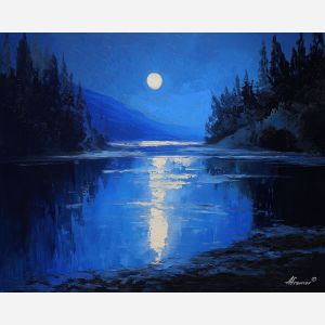 THE MOONS REFLECTION