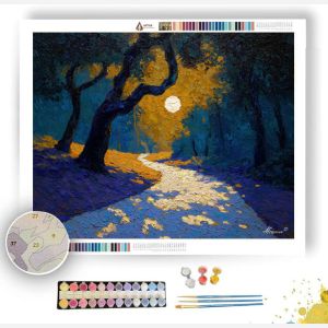 THE MOONS SHADOW - Paint by Numbers Full Kit
