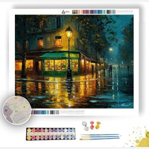 PETRICHOR MELODY - Paint by Numbers Full Kit