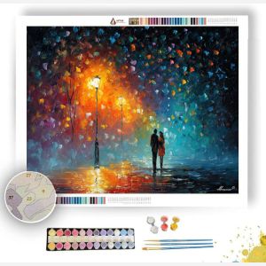 RAIN OF STARS - Paint by Numbers Full Kit