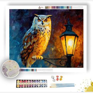 MASKED OWL - Paint by Numbers Full Kit