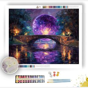 VIOLET SPHERE - Paint by Numbers Full Kit