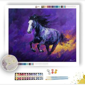 THE PURPLE HORSE SKY - Paint by Numbers Full Kit