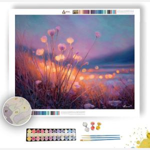 DREAMS IN LIGHT - Paint by Numbers Full Kit