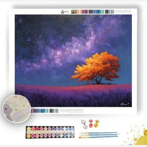 STARRY MEADOW - Paint by Numbers Full Kit
