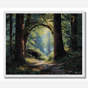 FOREST GATE - FRAMED