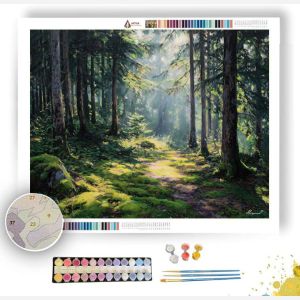 FOREST CLEARING - Paint by Numbers Full Kit