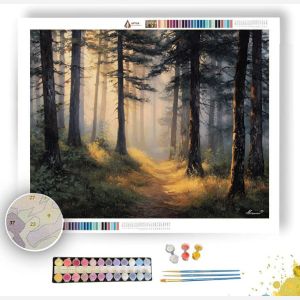 BLACK FOREST PATH - Paint by Numbers Full Kit
