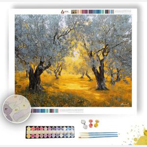 OLIVE GROVE MELODY - Paint by Numbers Full Kit