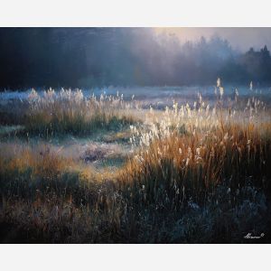AUSTRIAN MEADOWS AT DAWN