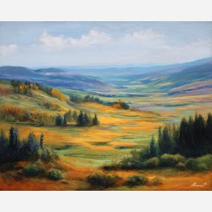 NORTHERN HILLS LIGHT