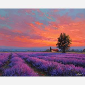 FIELDS OF PROVENCE