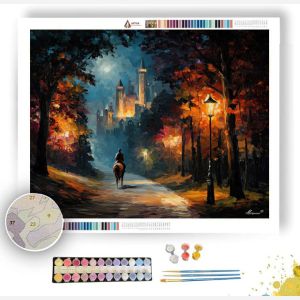KNIGHTS QUEST PATH - Paint by Numbers Full Kit