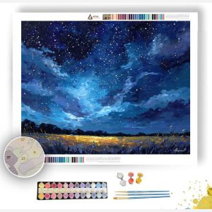 STARRY NIGHT SKY - Paint by Numbers Full Kit